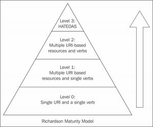 Richardson-Maturity-Model-300x249